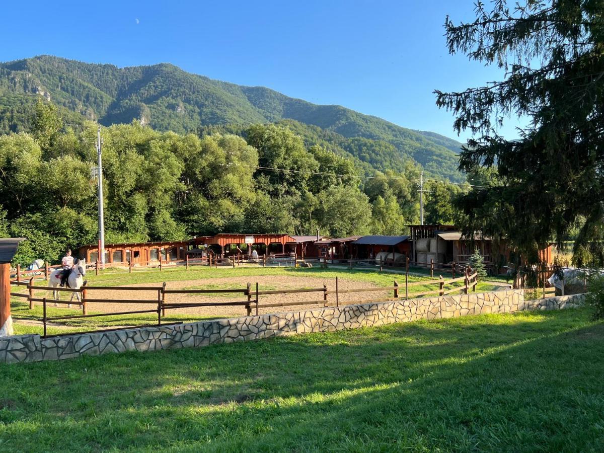 Apartmán Terchová - Vyšné Kamence 1520 Exteriér fotografie